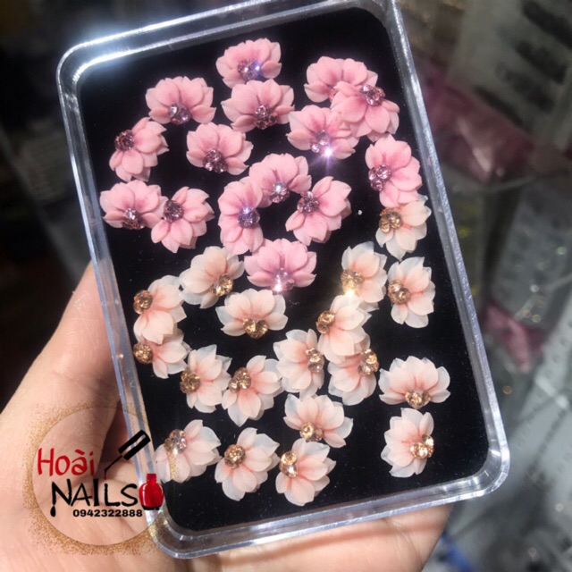 Hoa bột cúc nửa