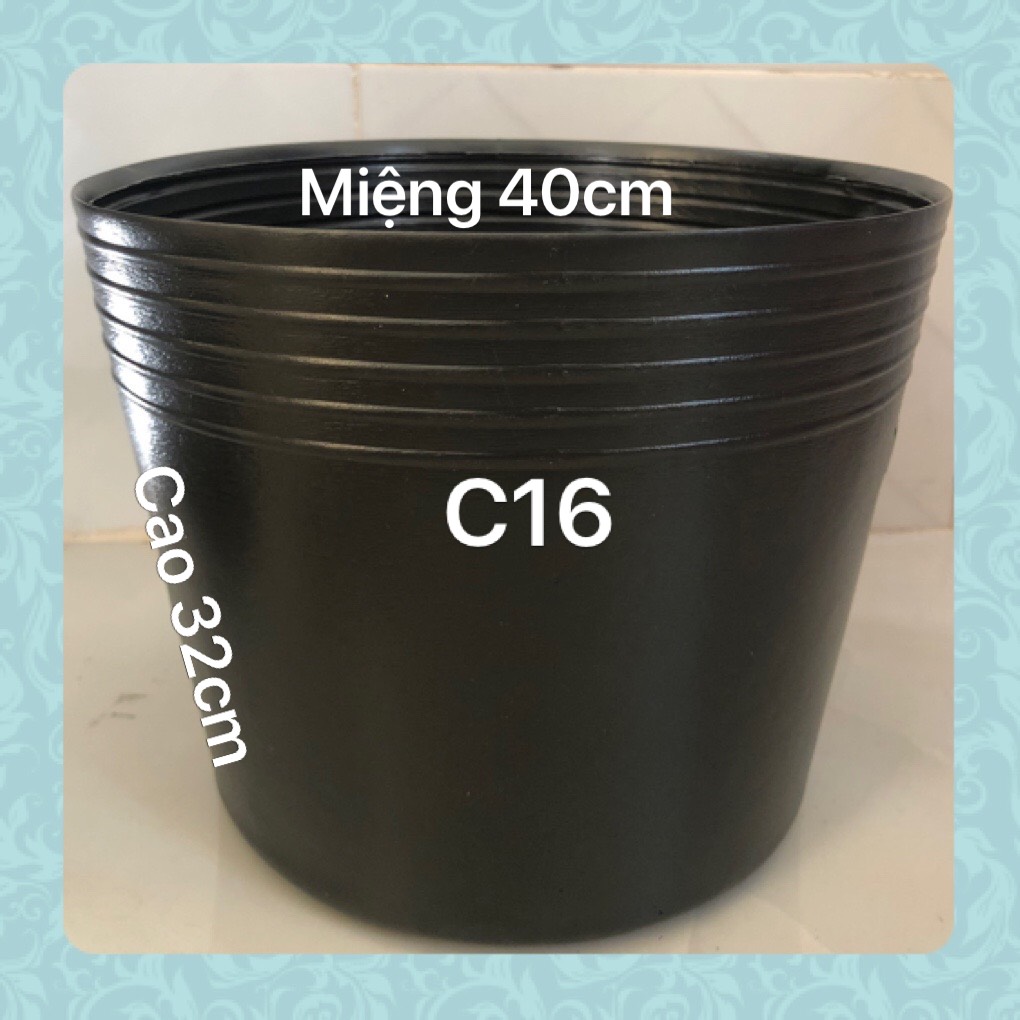 Chậu nhưa trồng cây 5 cái C16 đen dày dặn