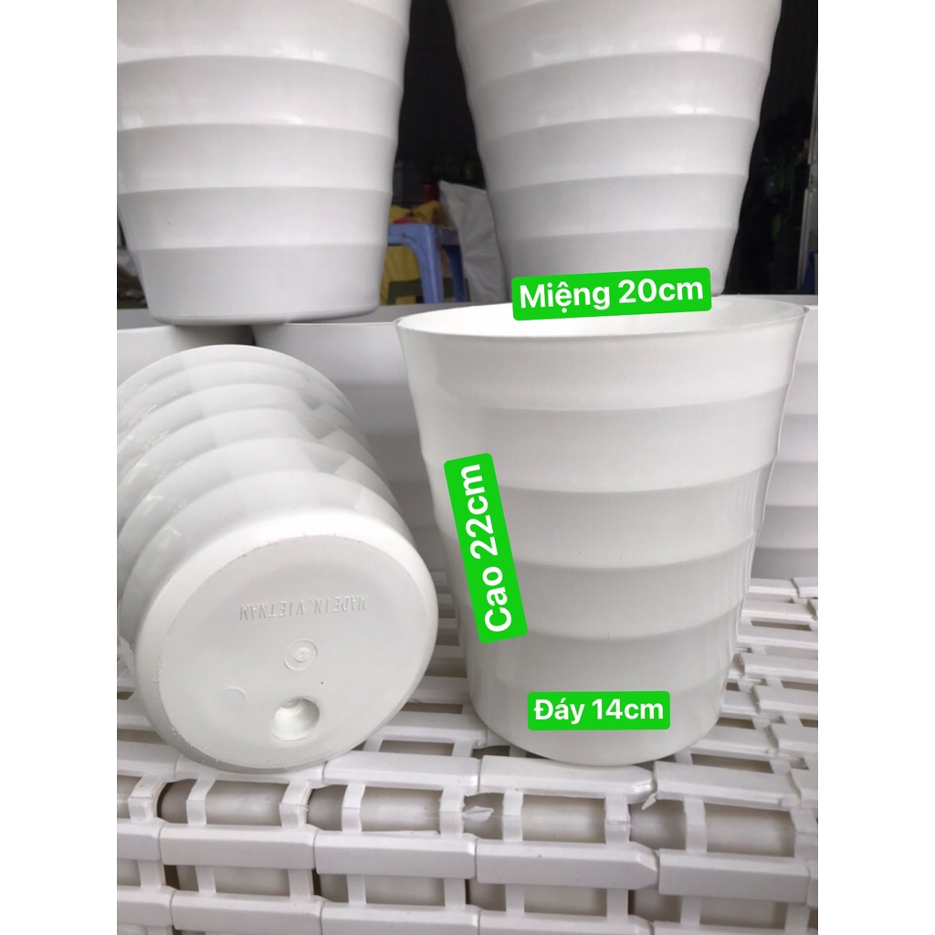Chậu nhựa tròn cao xoắn trồng hoa đường kính miệng 20 cm - cao 22cm