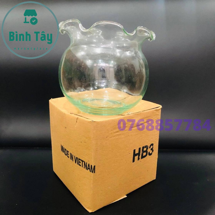 Bể thủy tinh, bể cá thủy tinh, hồ thuỷ sinh, hồ cá mini tròn miệng bèo, chậu trồng cây thủy canh, thủy sinh BT- HB3