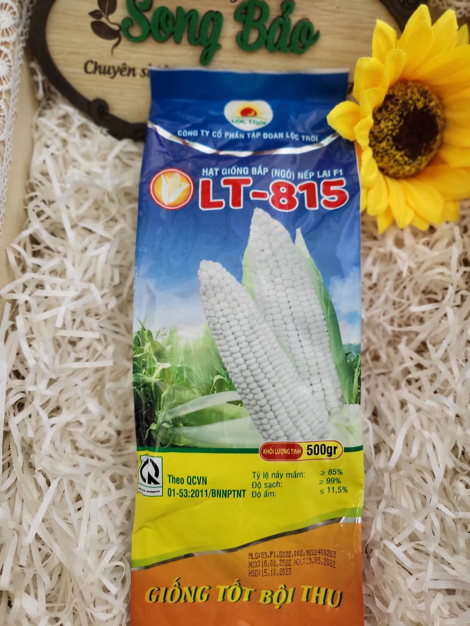 Hạt giống bắp nếp lai f1 lt- 815 gói 500g lộc trời