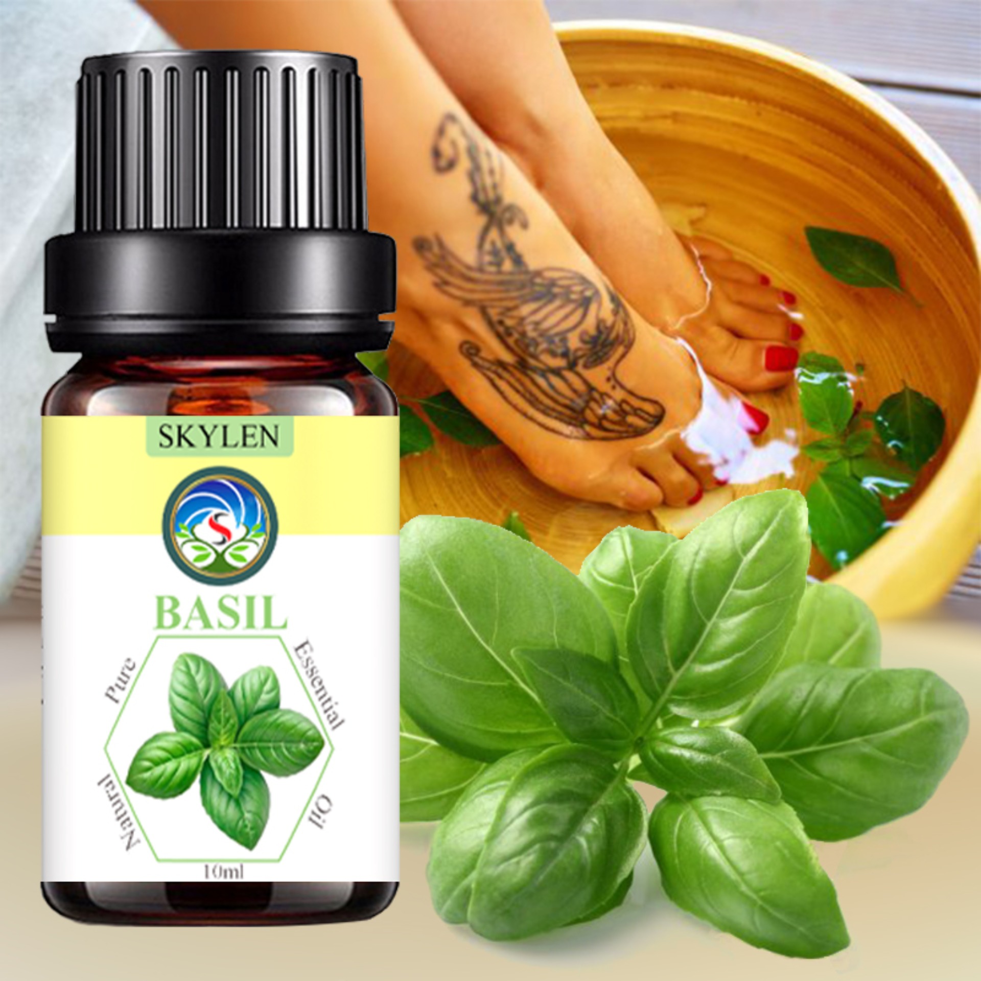 Essential basil essential oil emulsifies the room extracted from natural