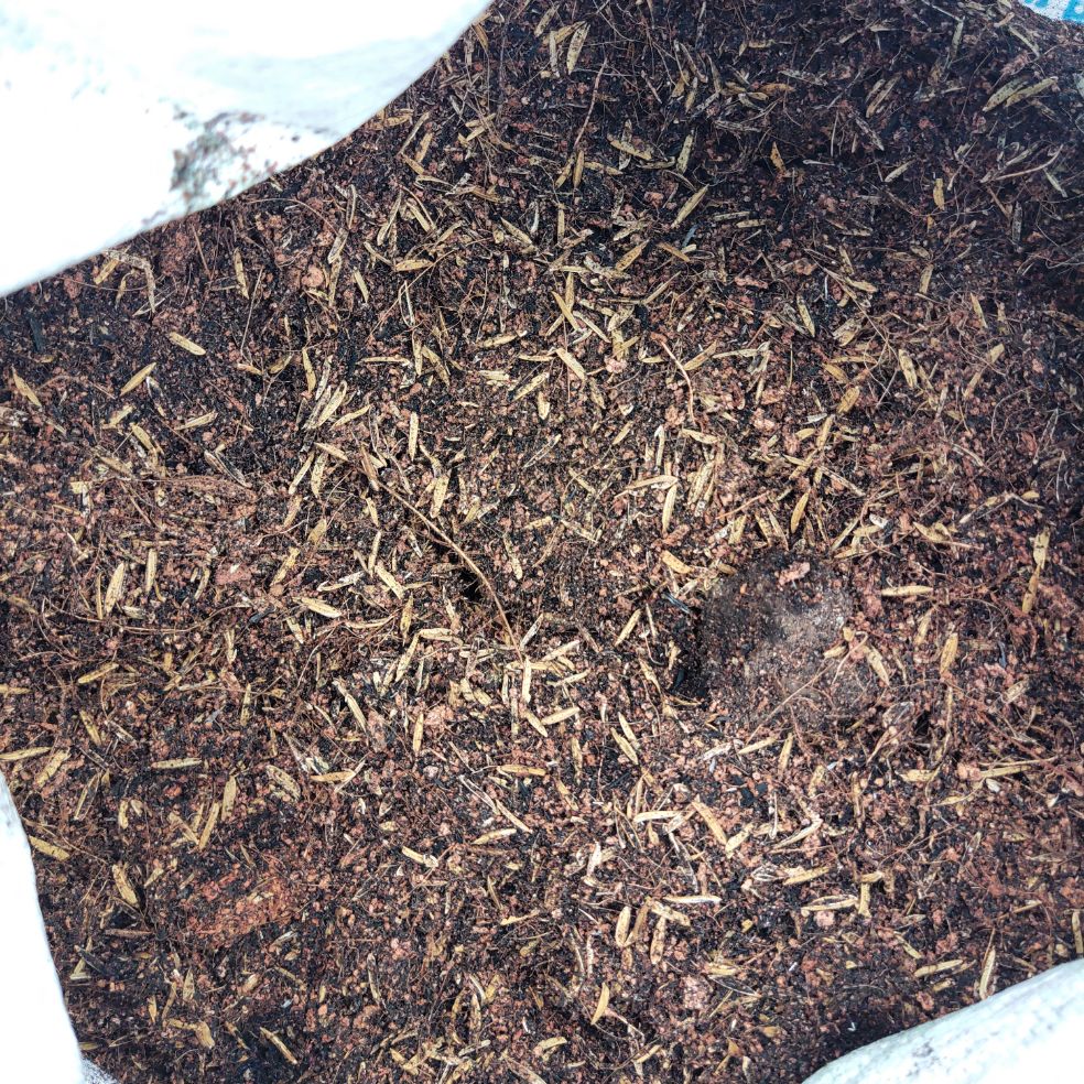 Hỗn Hợp Tro Trấu Mụn Xơ Dừa - Giá Thể Trồng Cây (1kg)