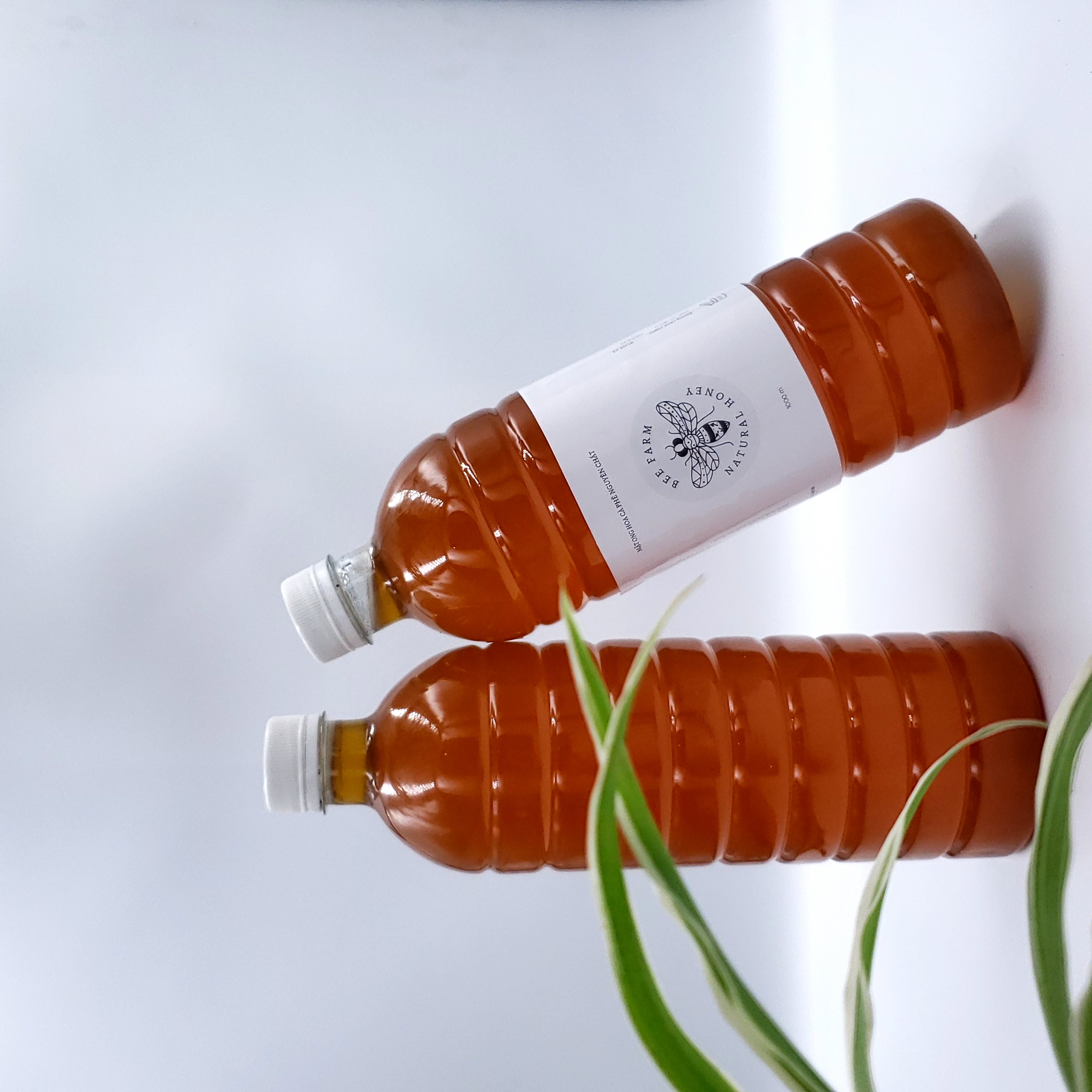 Mật ong hoa cà phê nguyên chất chai 1L
