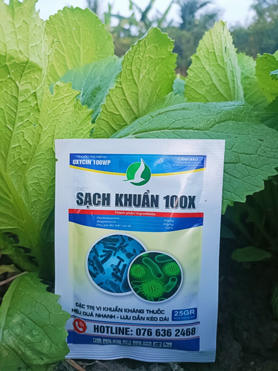 DIỆT TRỪ VI KHUẨN NHANH, HIỆU LỰC KÉO DÀI -  SẠCH KHUẨN 100 (25 gram)