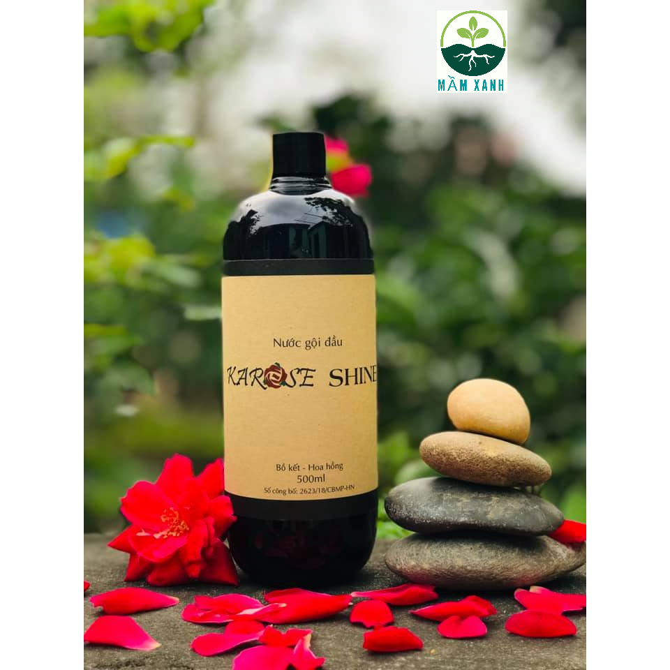 Nước gội đầu bồ kết hoa hồng Karose Shine