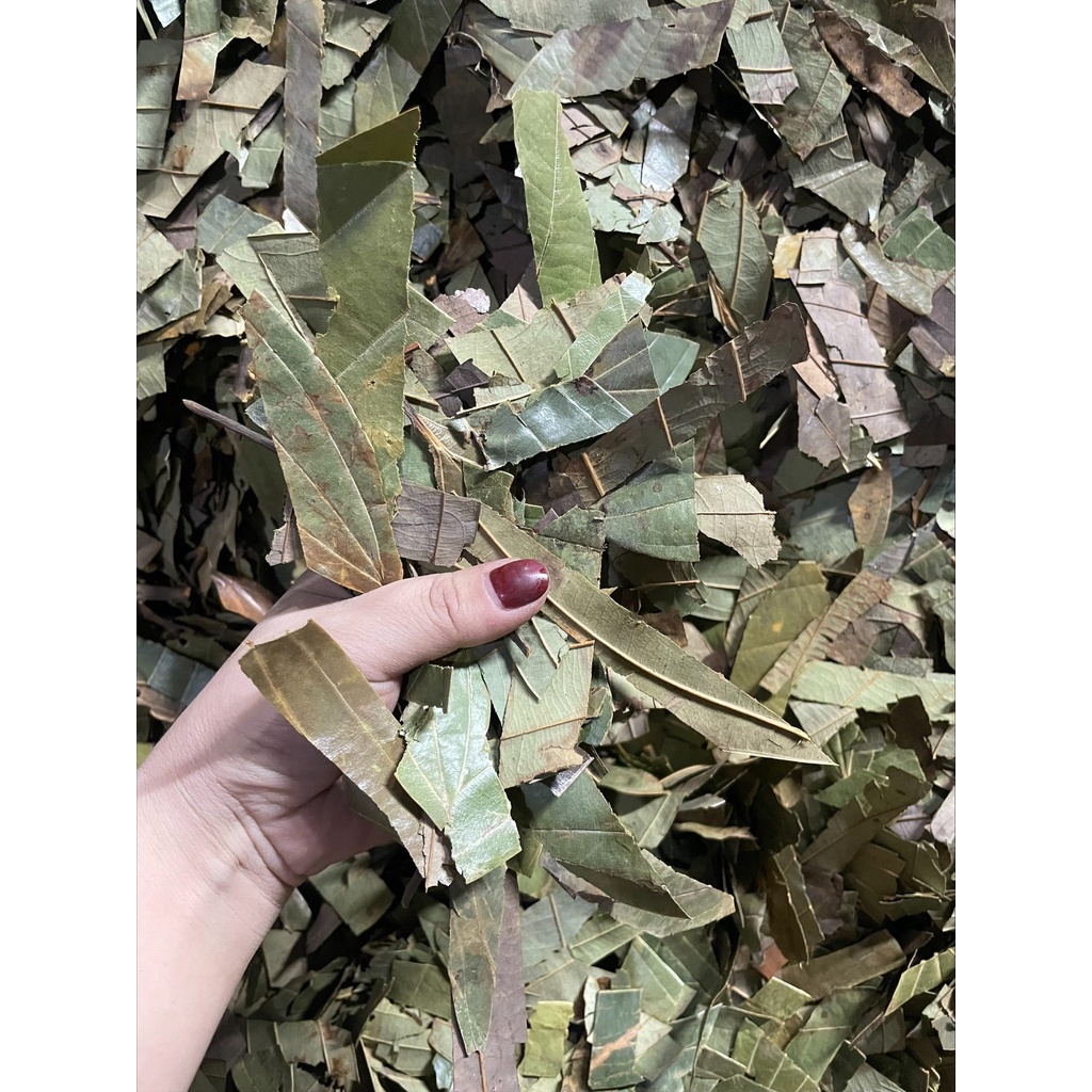 Lá Quế khô 100gr thơm ngon chuẩn xịn