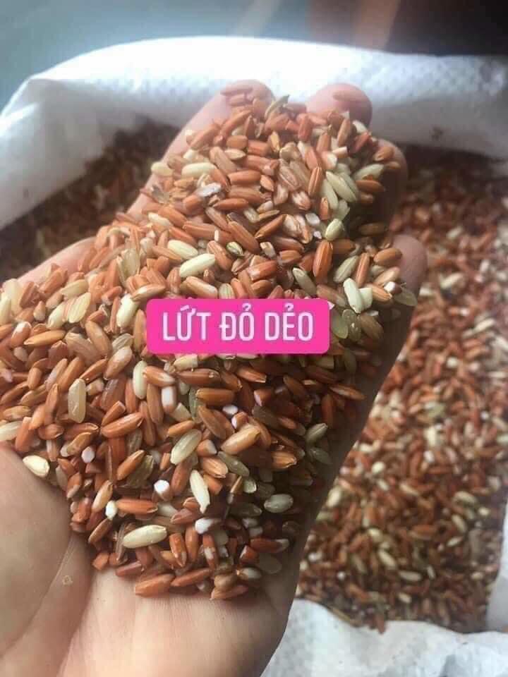 Gạo lứt đỏ dẻo Điện Biên đóng túi hút chân không túi 1kg