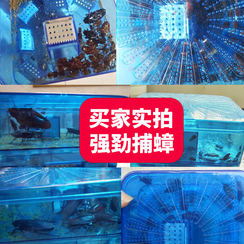 Thiết Bị Bắt Gián