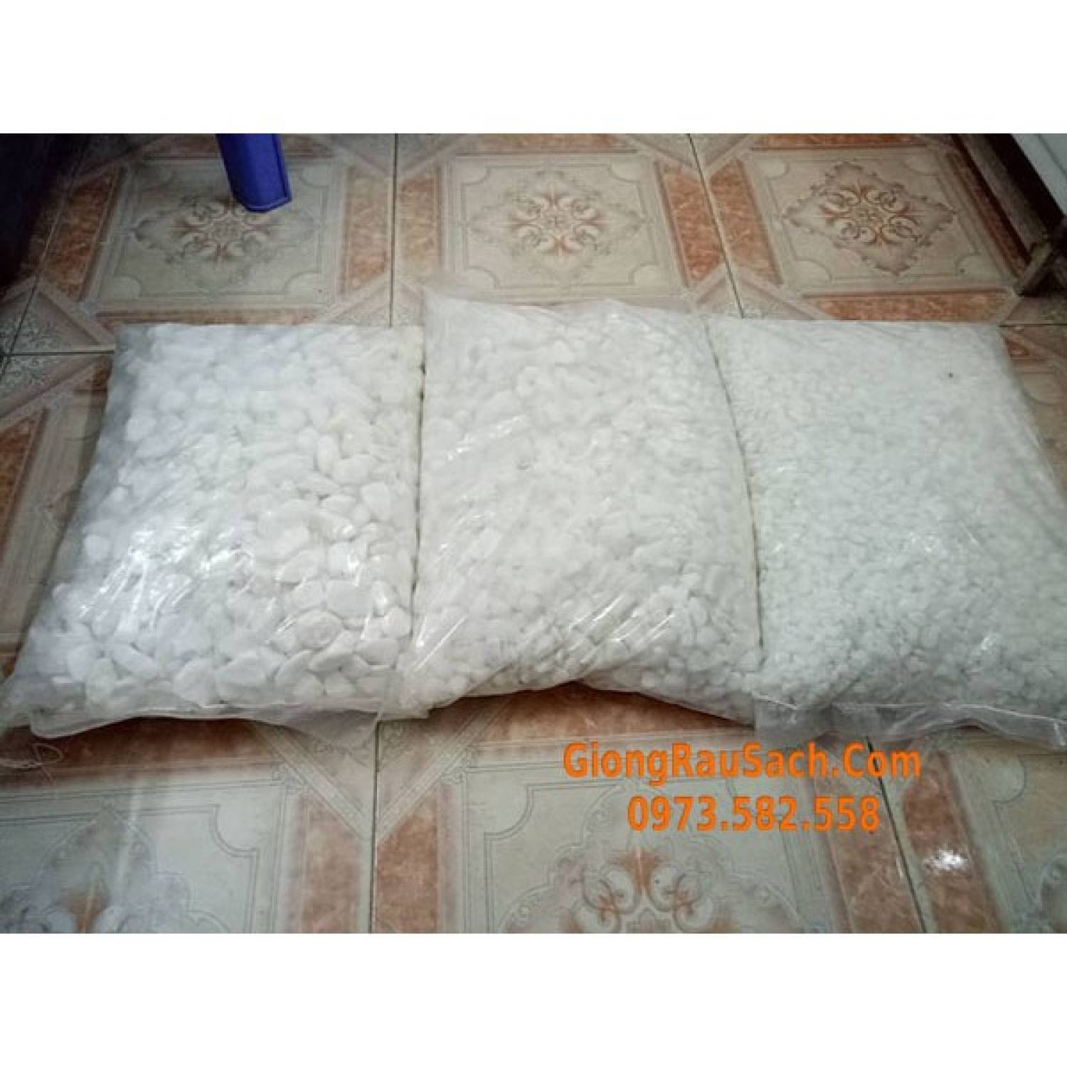 15kg sỏi trắng trang trí cây cảnh sân vườn bể cá cảnh