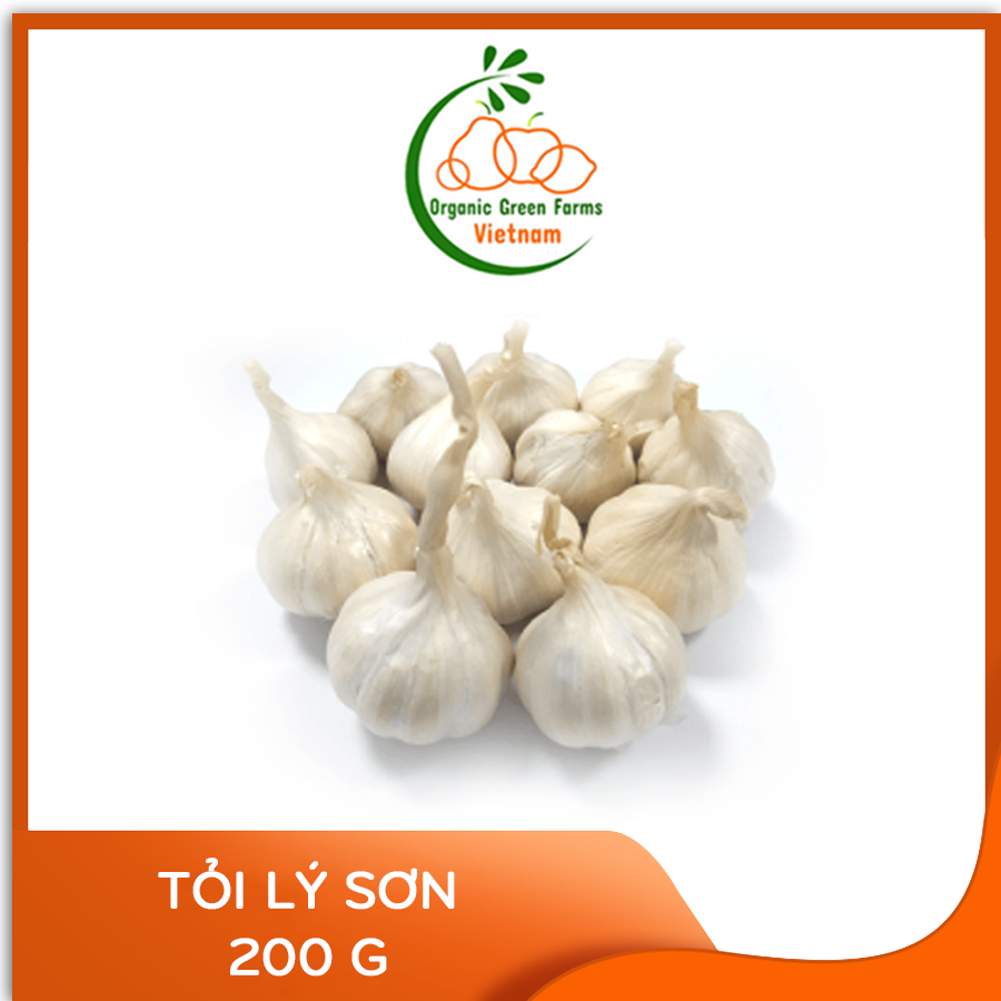 - tỏi lý sơn -