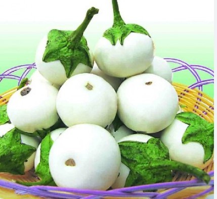 Hạt Giống Cà Pháo Trắng