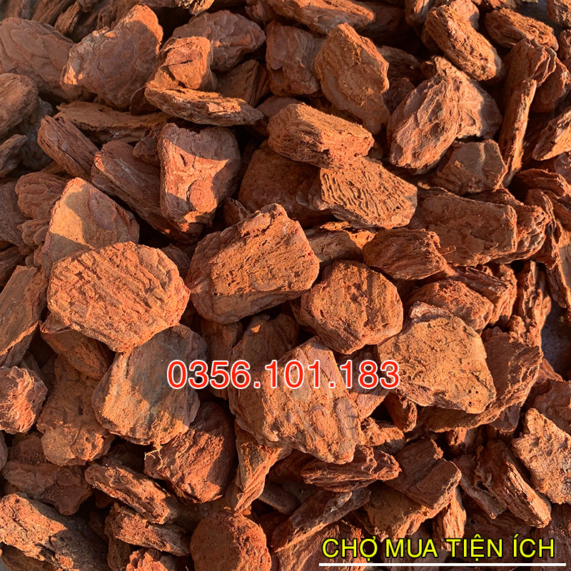 Vỏ thông trồng lan đã qua xử lý size to 2-3cm
