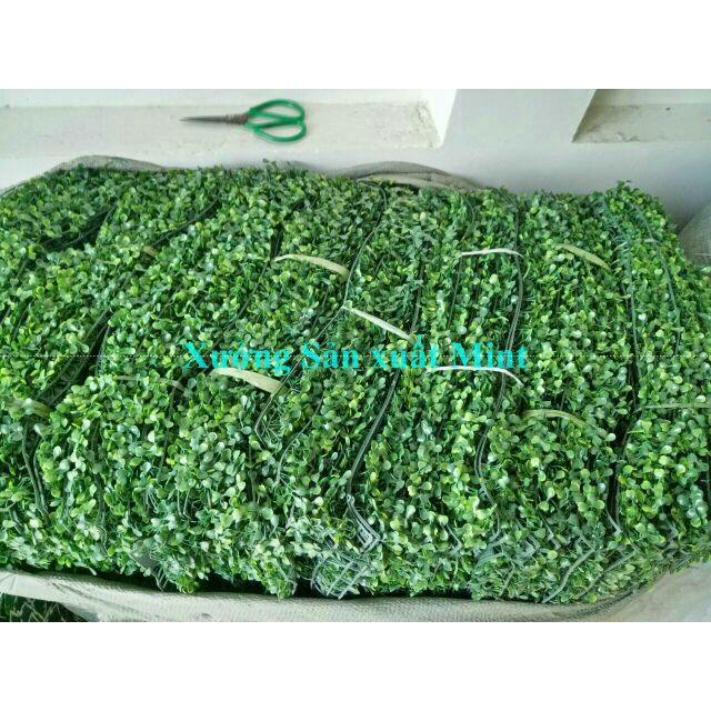 Sỉ 10 Phên cỏ xoong nhân tạo - Cỏ trang trí