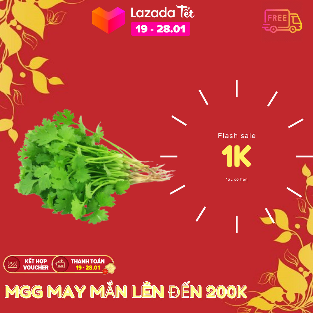 50 Hạt Giống Rau Mùi Cồn Tía (Rau Thơm, Gia Vị) (Hàng Loại 1)