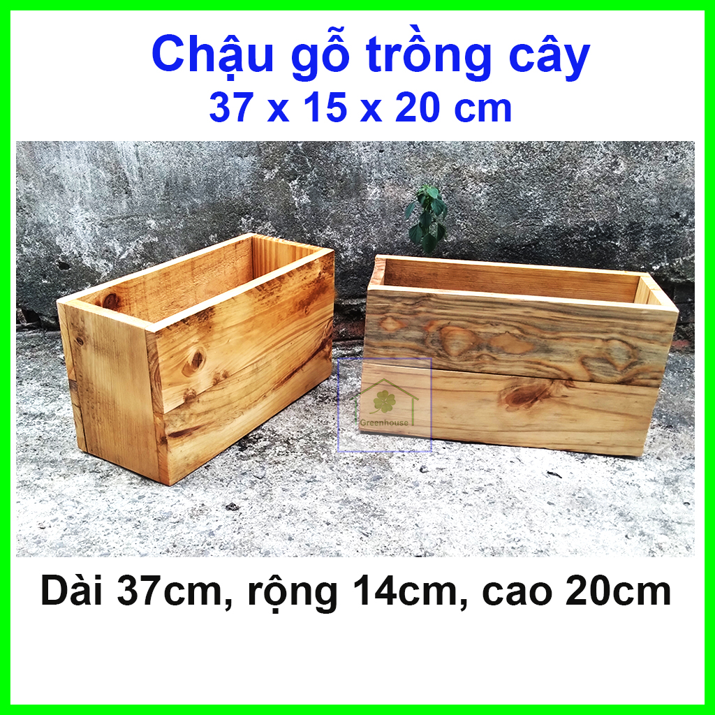 [HCM]Chậu trồng sen đá gỗ, bonsai,  tiểu cảnh 37x14x20cm Greenhouse - Ngôi Nhà Xanh