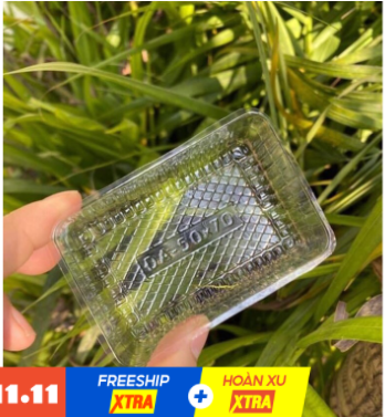 Khay Nhựa Đựng Bánh Dứa