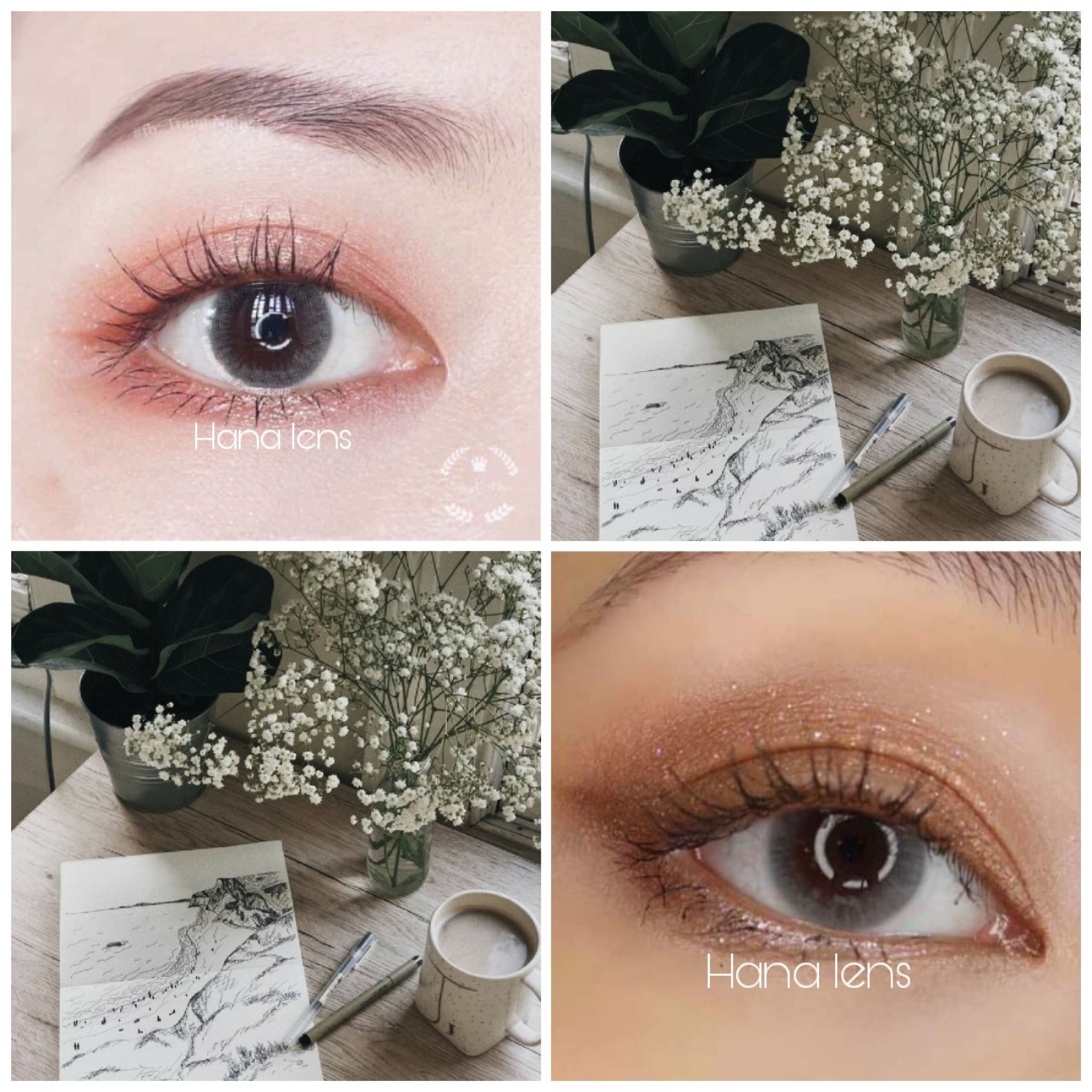 Lens xám tự nhiên giãn vừa sử dụng 12 tháng ( full độ cận từ 0 đến 6 độ) tặng kèm khay đựng - Hana lens