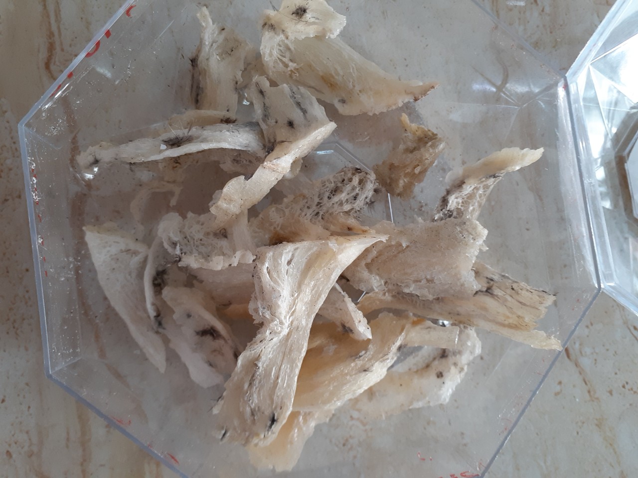 10gr chân tổ yến thô - chân yến còn lông- yến sào thô- tổ yến