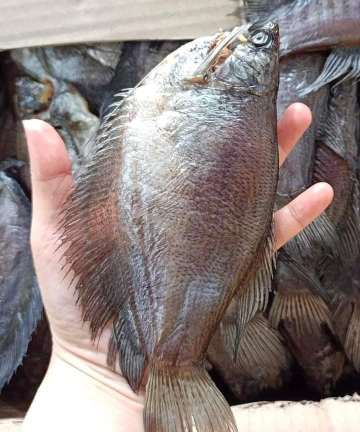 1kg Khô cá sặc 3 nắng, vị vừa ăn, chắc thịt, thơm ngon, khô lò tho, khô sặc rằn, Vựa Khô Bà Chín