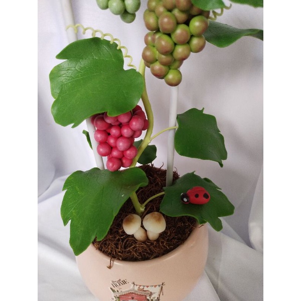 Chậu nho đất sét cao 42cm