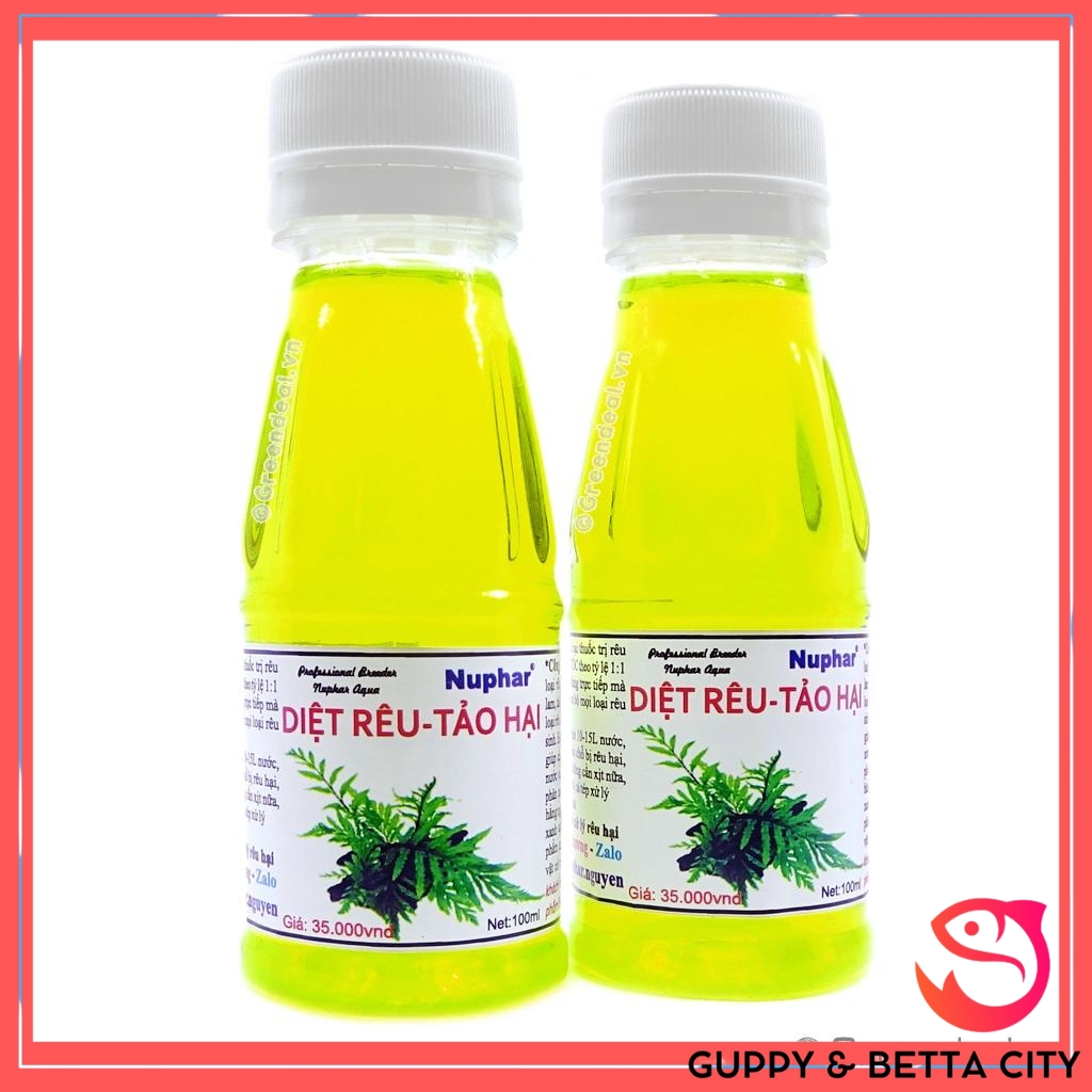 Diệt rêu tảo hại Nuphar - Thuốc diệt rêu hại tảo nâu, tảo bẩn cho hồ cá cảnh thuỷ sinh chai 100ml
