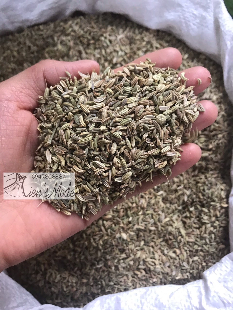 1kg Hạt Tiểu hồi Hương