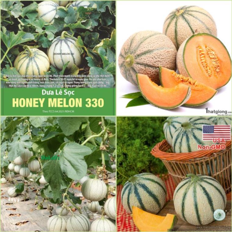 1g hạt giống dưa lưới sọc Rạng Đông