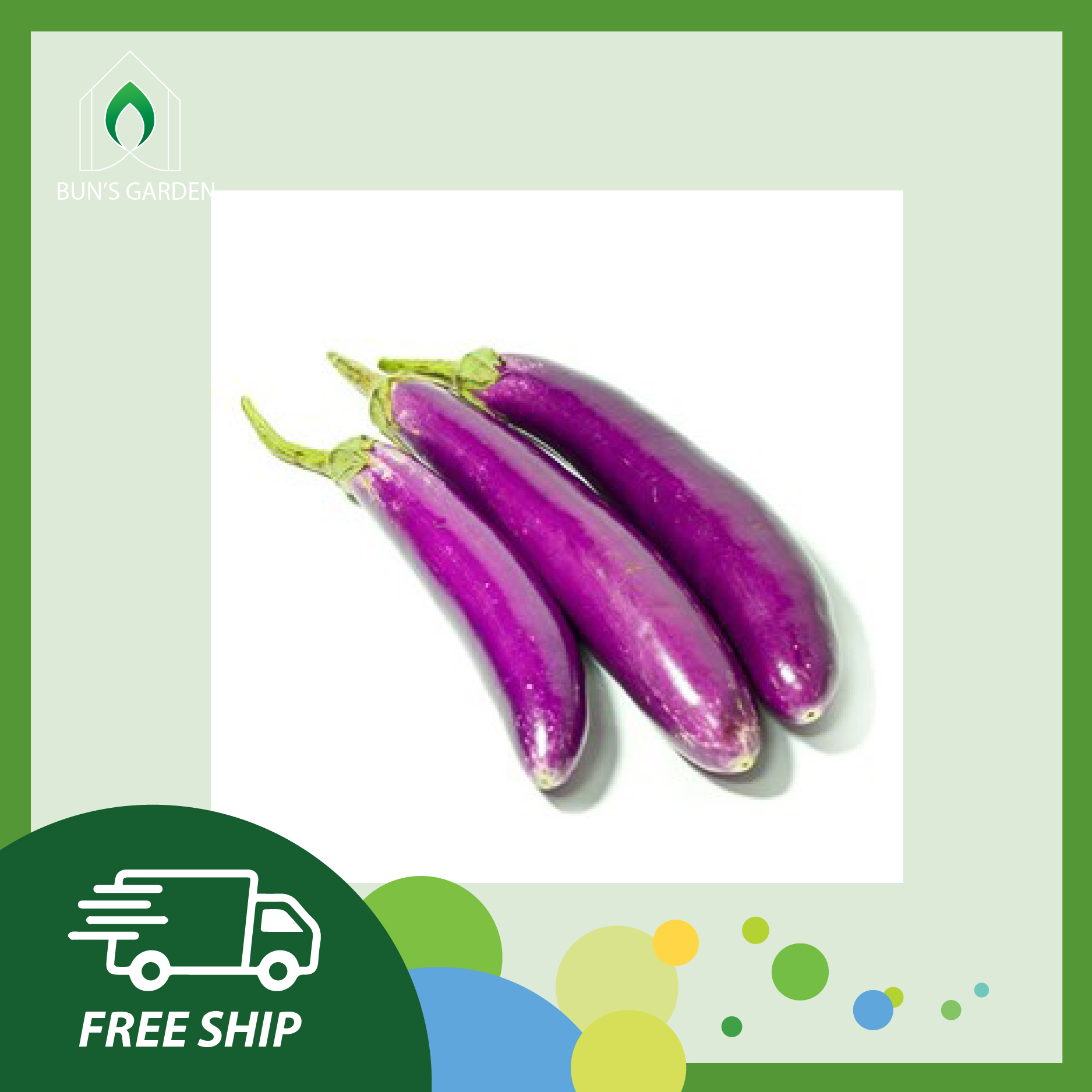 [XẢ LỖ] Hạt giống cà tím trái dài - gói tiêu chuẩn công ty