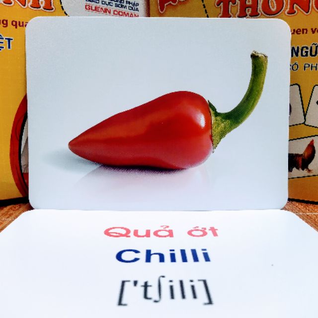 Bộ Thẻ Học Thông Minh 18 Chủ Đề 288 thẻ, flashcard song ngữ loại chuẩn, Glenn Doman Flashcard cho bé