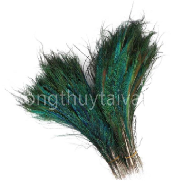 Lông Công RIA 25- 30cm trang trí ,chiêu tài phong thủy