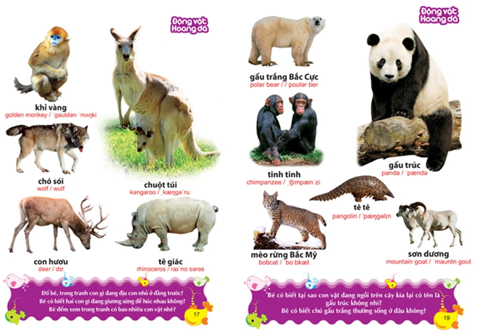 Fahasa - Từ Điển Tranh Về Các Con Vật (2017)