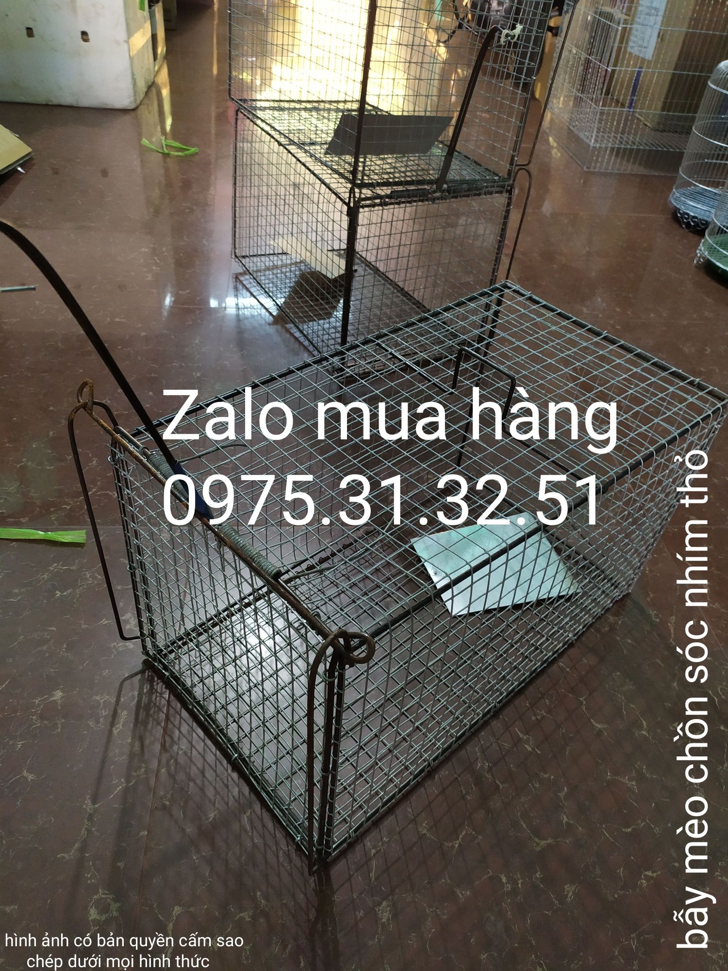 bẫy nhím sóc mèo chồn hương cáo bắt gà