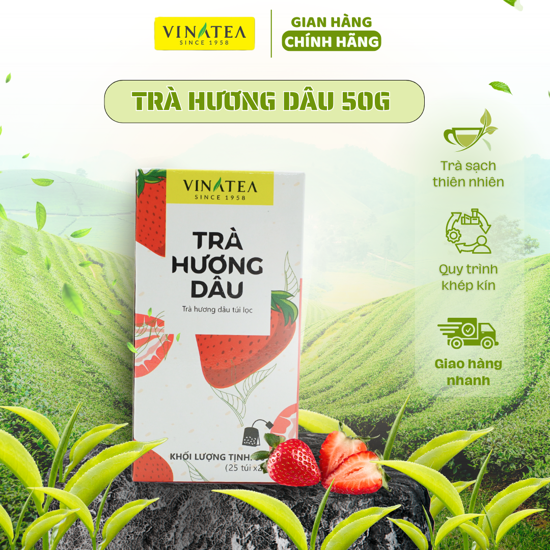 Trà Vinatea Hương Dâu Túi lọc