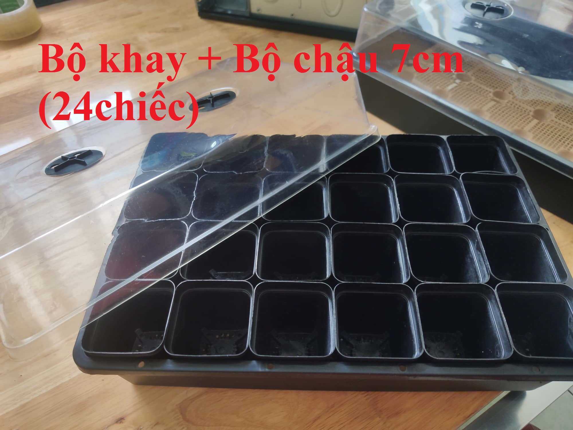 Khay ươm mầm nhà kín - thích hợp ươm màm non cay nhỏ
