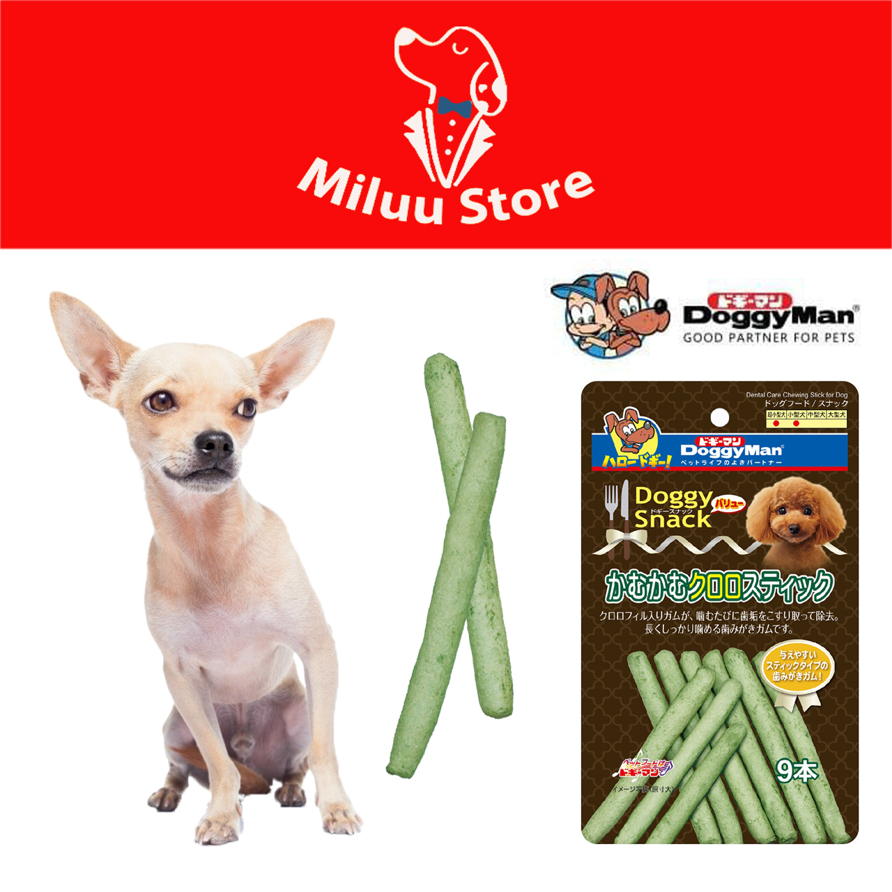 Que da bò xanh thơm miệng loại 5, 9,12, 30 cây doggyman -82156
