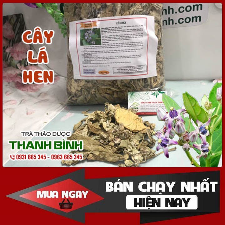 Cây lá hen 1kg hàng new 100% - thảo dược thanh bình