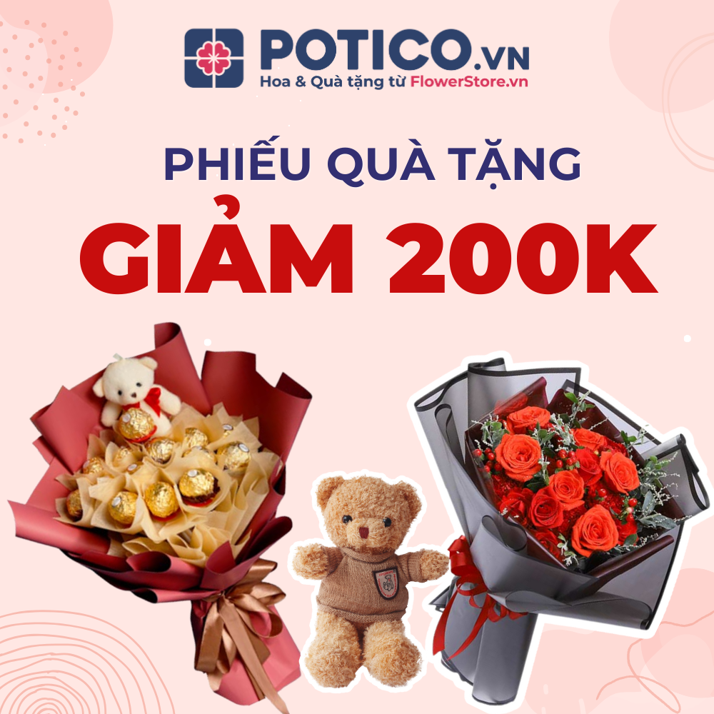 Potico.vn [E-voucher Hoa tươi & Quà tặng] - Ưu đãi 200K cho đơn hàng từ 800K
