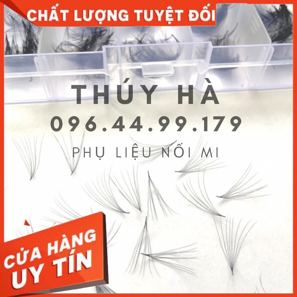Mi fan 8d c - d 005 mix size mm _dụng cụ nối mi_thúy hà