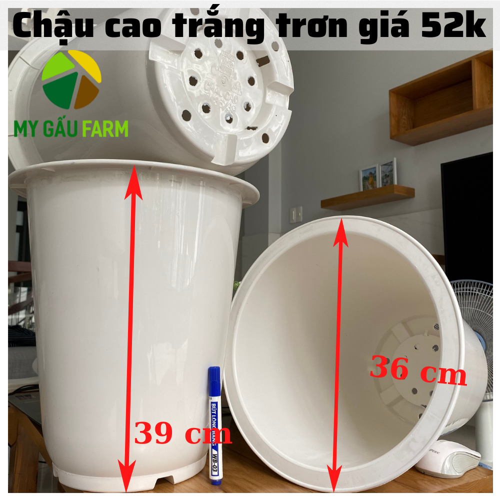 Chậu nhựa bom trắng tròn cao size lớn 36-39cm - Thakico