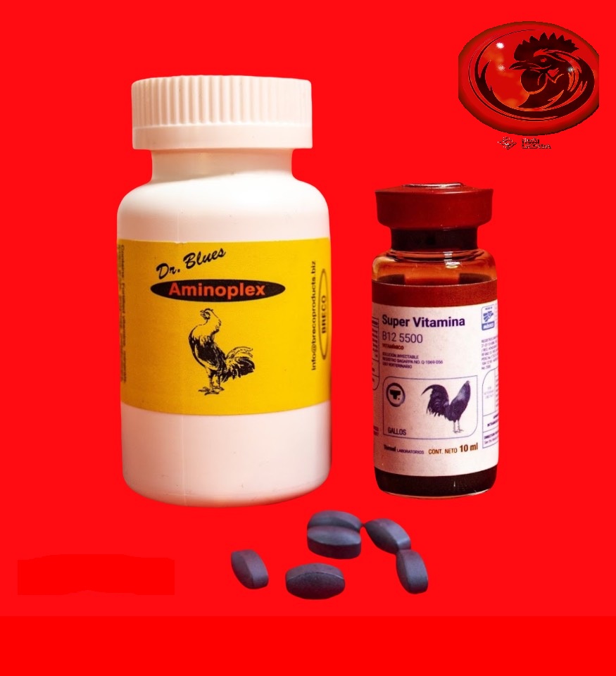 COMBO b12 5500 10ml + AMINOPLEX 50 VIÊN cho gà đá