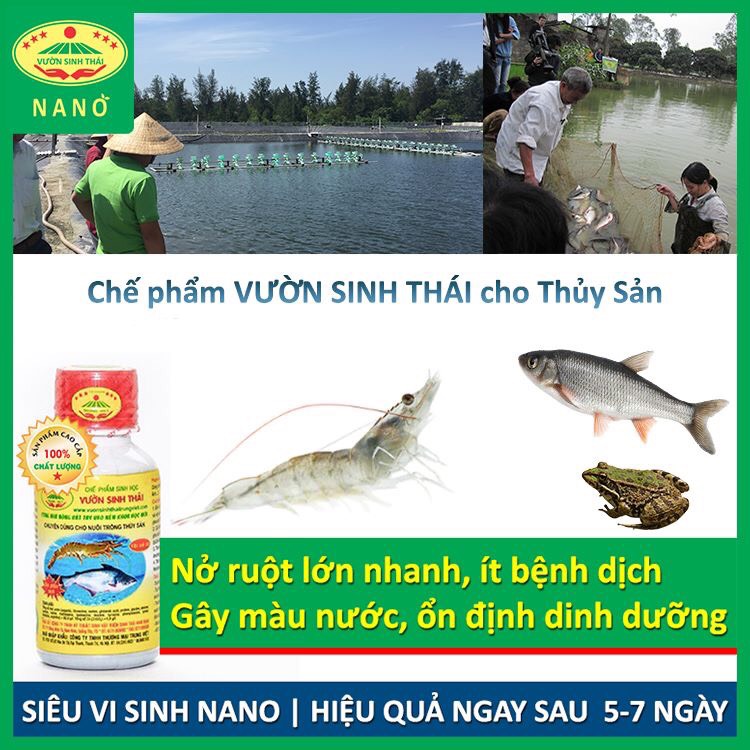 Chế phẩm sinh học nuôi Cá, Tôm - Nở ruột chắc thịt lớn nhanh - Ngăn chặn các bệnh về đường ruột - Cải thiện màu nước ao nuôi