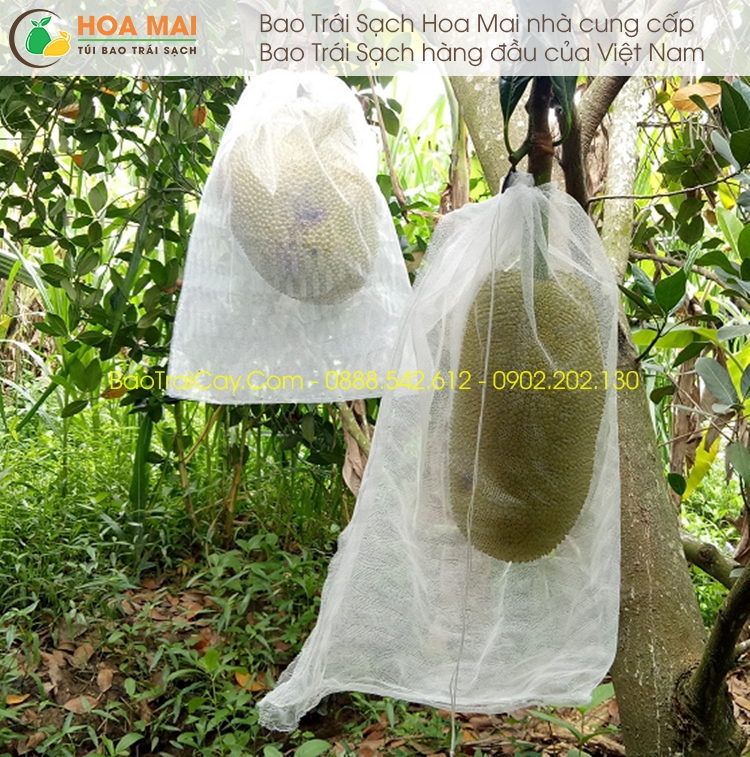 Bao mít 40x50cm vải mùng 100 cái