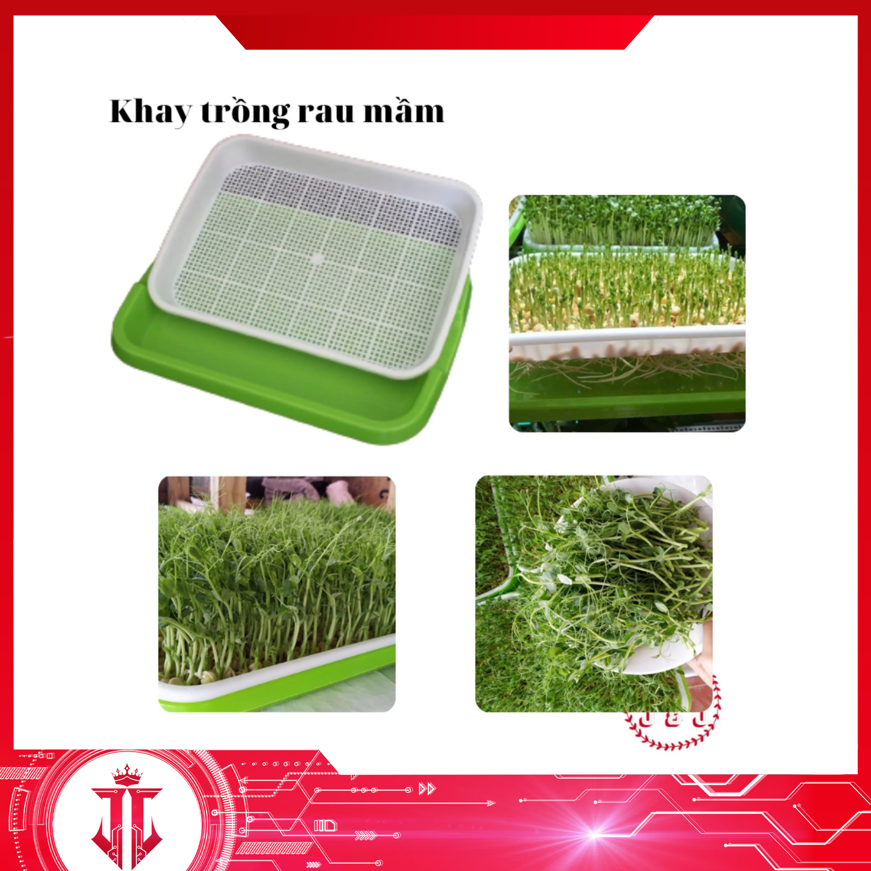 Khay Trồng Rau Mầm Thông Minh