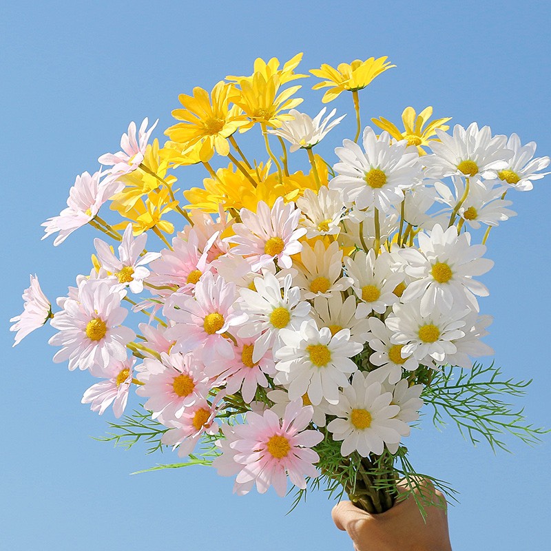 50 Hình nền hoa cúc đẹp nhất cho điện thoại