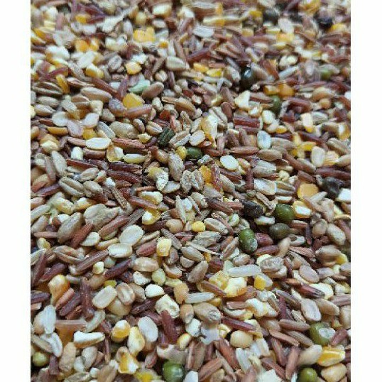 1KG Ngũ cốc cho gà tre thức ăn cho gà nòi ngũ cốc cho gà đẻ ngũ cốc cho vịt ngũ cốc cho bồ câu ngũ cốc cho chim cu ngũ cốc cho chuột