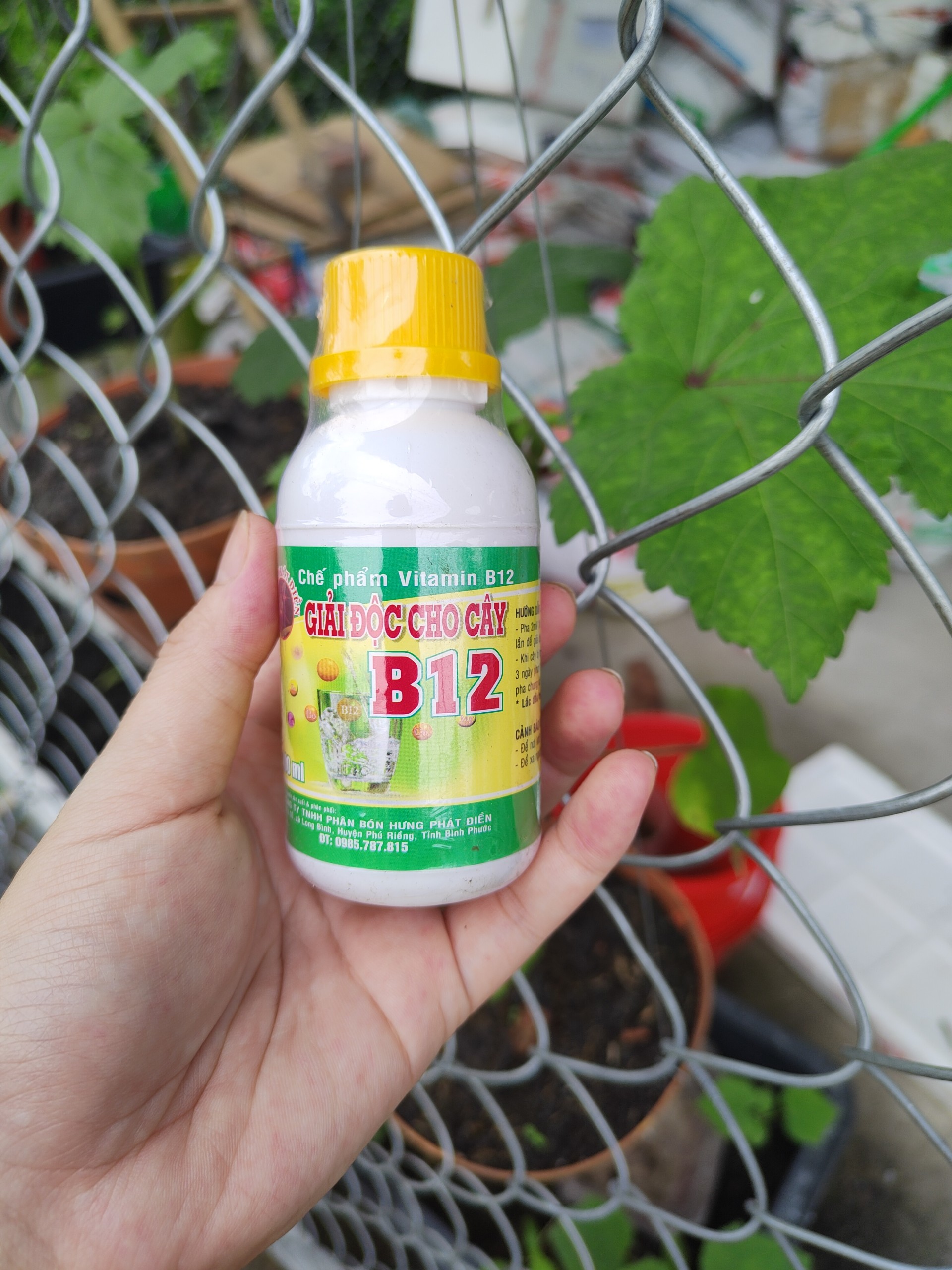 Vitamin B12 cho lan, cây cảnh 100ml Giải độc cây- Tái tạo tế bào (Hưng Phát Điền)