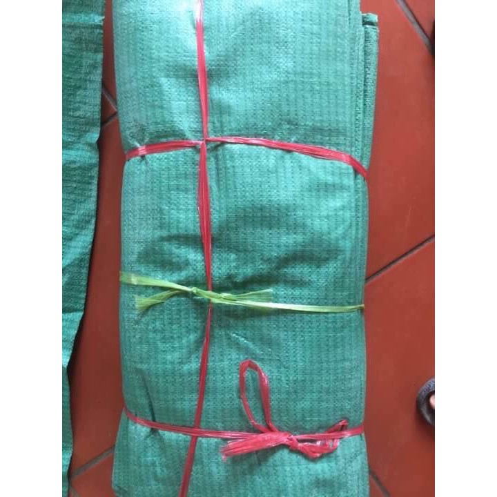 BAO TẢI DỨA XANH ĐÓNG HÀNG ĐỰNG ĐỒ KHÔ