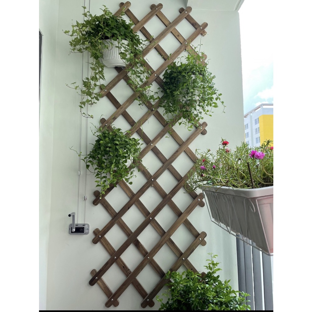 Giàn gỗ gắn tường treo chậu cây, leo hoa, trang trí ban công sân vườn điều chỉnh khung co giãn có thể gấp gọn.