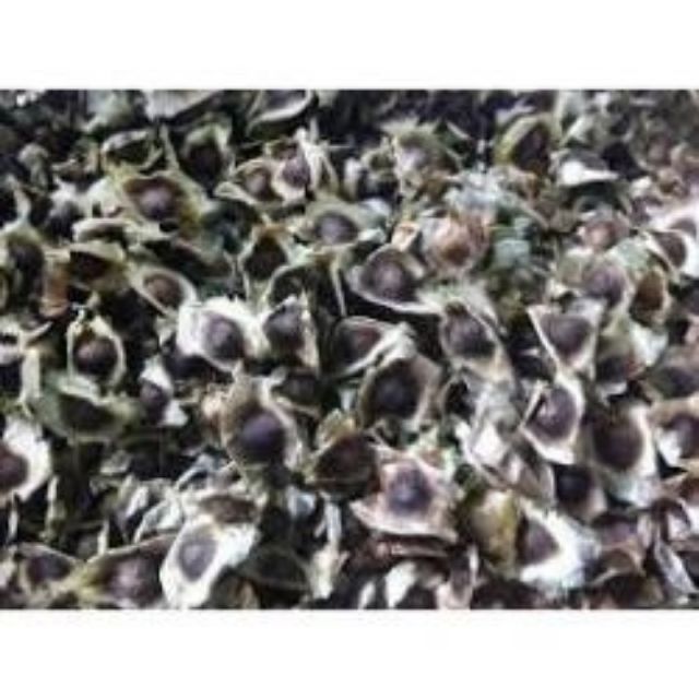 Xả hàng - hạt chùm ngây khô 500g 683lz